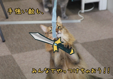 モンハン8
