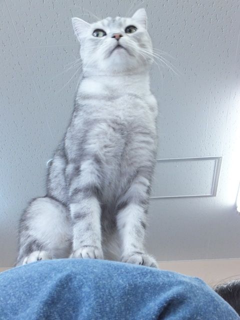 DSCF6522
