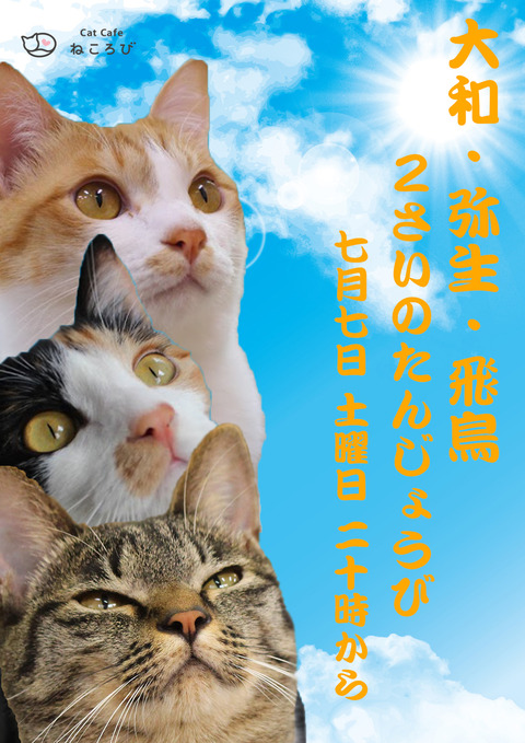 きようだい