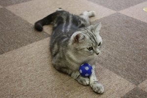 IMG_8204