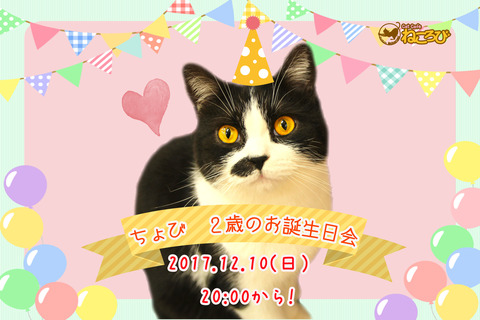 ちょびぽす