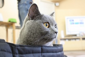 IMG_1400