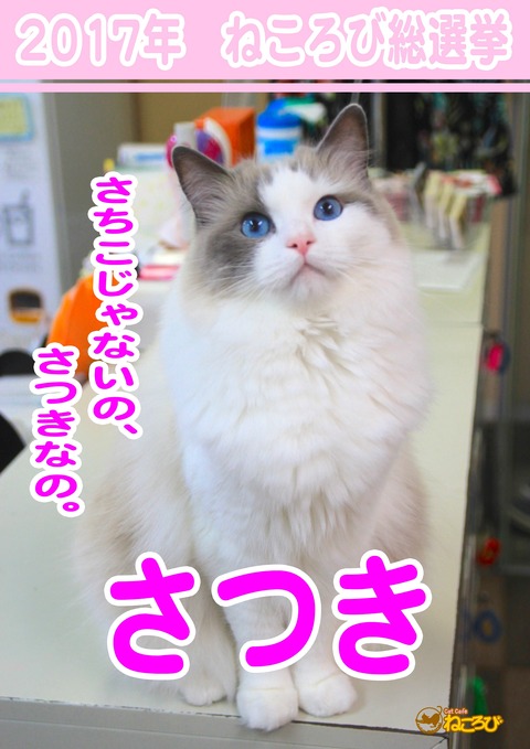 さつき