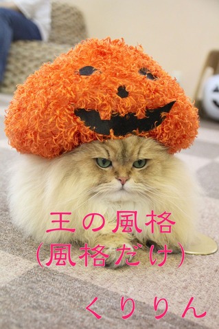 くり