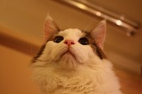 s-IMG_3663