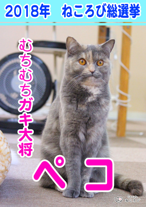 総選挙2018ぺこ