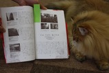 紹介ページ