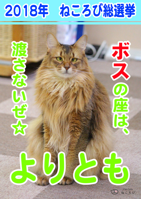 総選挙2018より