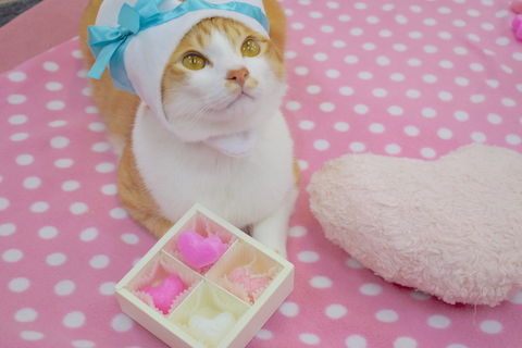 やまちゃんさん