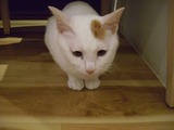 CIMG0297