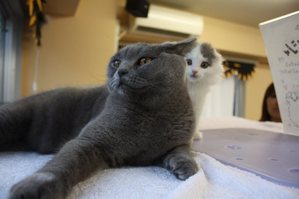 IMG_8810