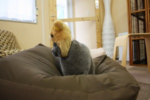 いつもいつも、いい加減にして欲しいわ。