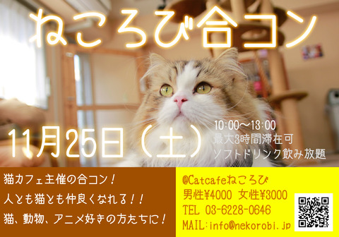 合コンフライヤー午前開催用
