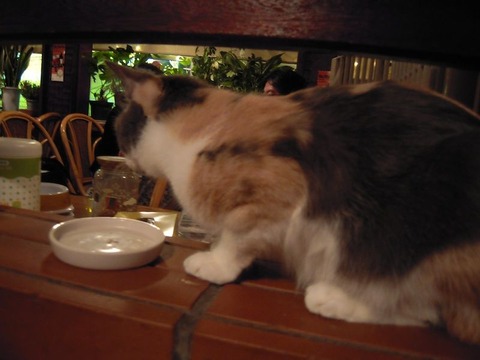 DSCN1319