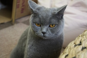 IMG_9125
