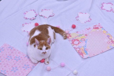 やまちゃんさん