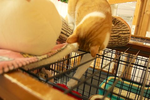 IMG_9026