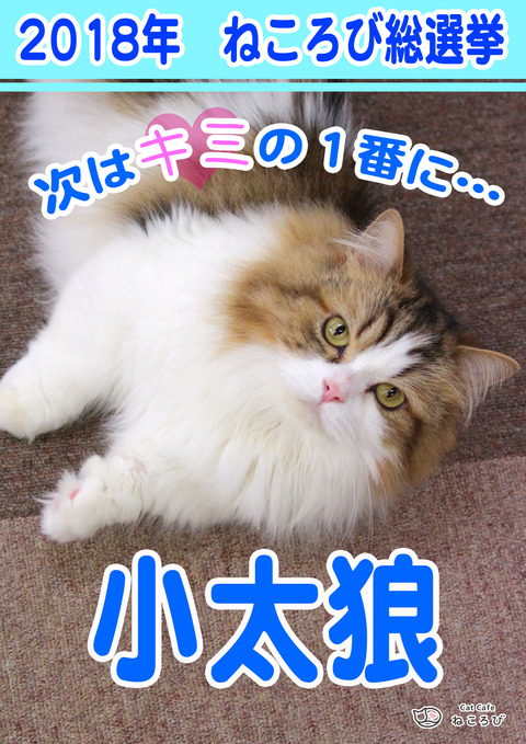 総選挙2018こた