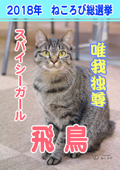 総選挙2018飛鳥