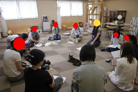 BlogPaint