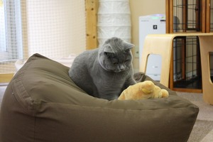 ふー、やっと取れた。