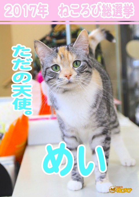 めい