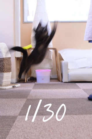 03_¥·¥ã¥¿¡¼¥¹¥Ô¡¼¥É30