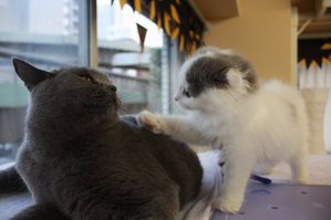 IMG_8816
