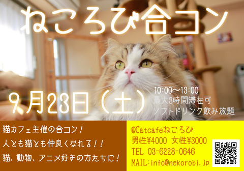 合コンフライヤー午前開催用