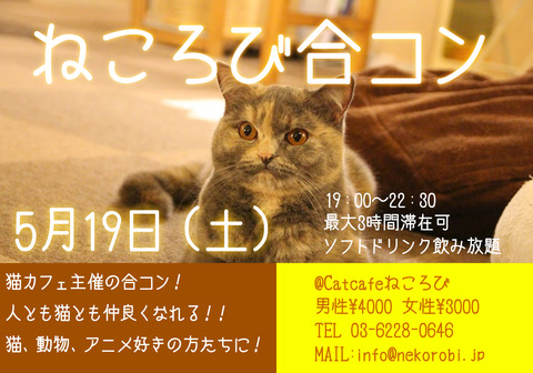 第18回合コン