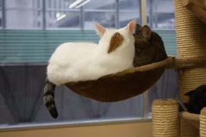 IMG_1255