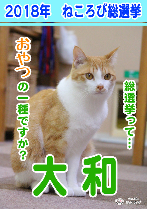 総選挙2018やま