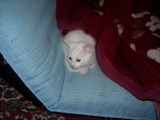 s-DSCN1422