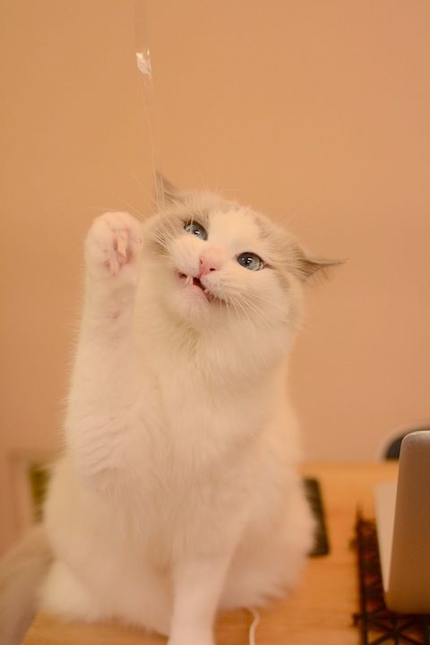 無我夢中 のコピー