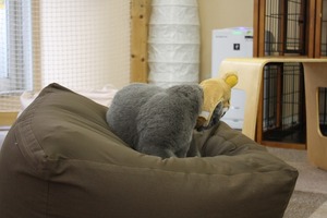 えいっ、えいえい!!