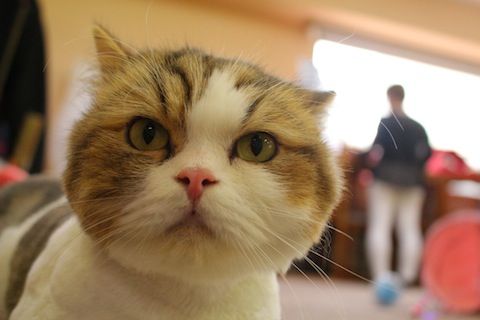 IMG_1118
