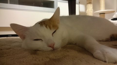 IMG_20170121_174720