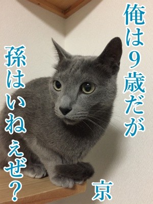 京133
