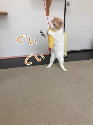 煌130