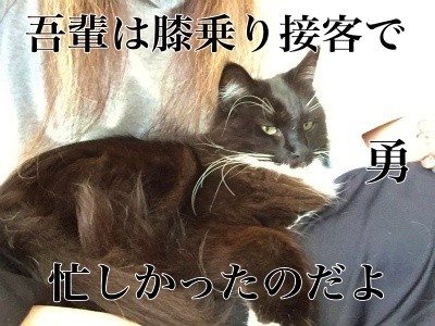 勇