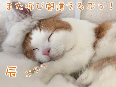 辰95