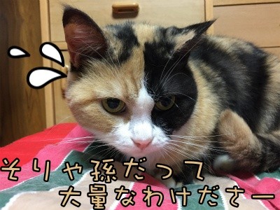 きよ22