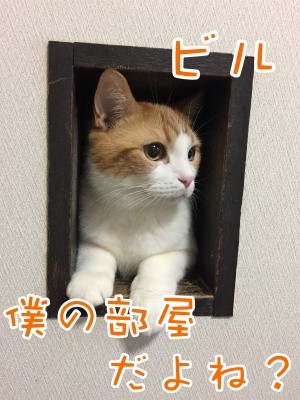 ベルビル103