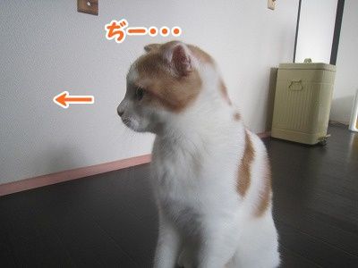 まお (5)