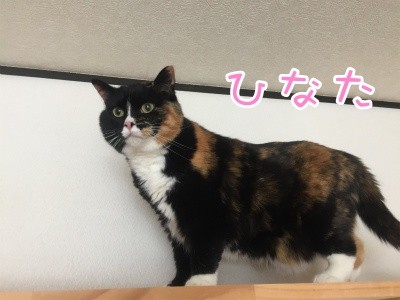 るひあ67