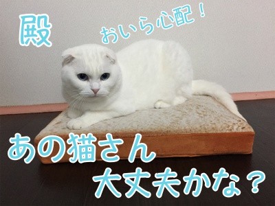 殿392
