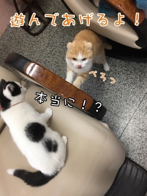 珠若42