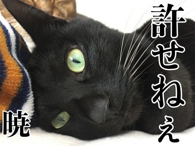 暁52