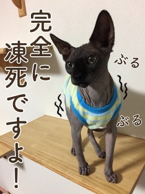 丈123