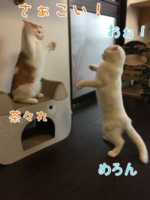 みんな442